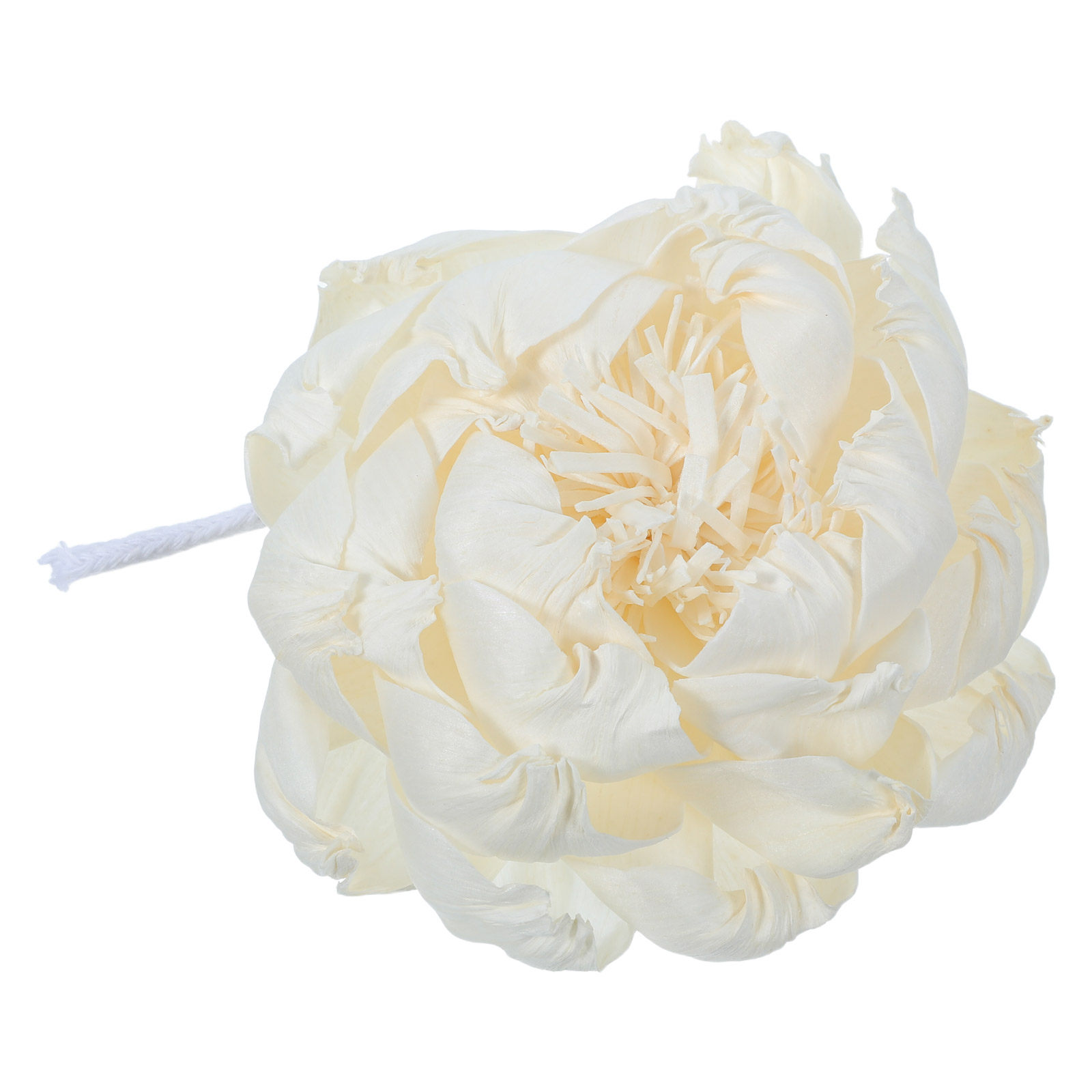 Dyfuzor zapachowy z głową piwo – Fragrance In Home recenzja i cena
